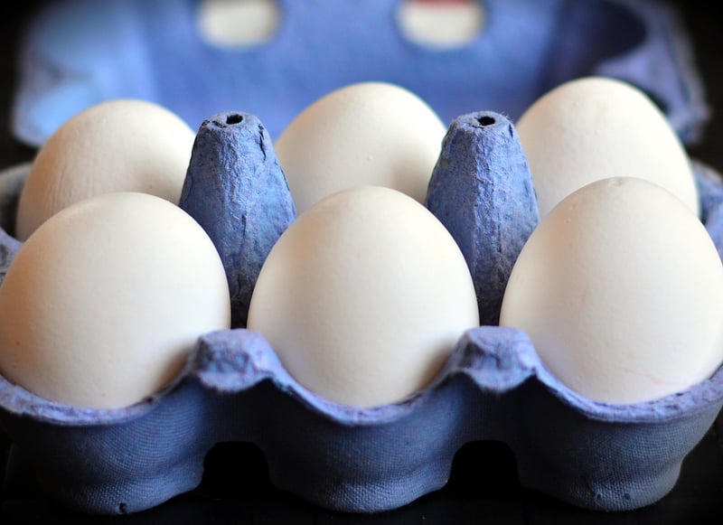 Egg Carton Creations